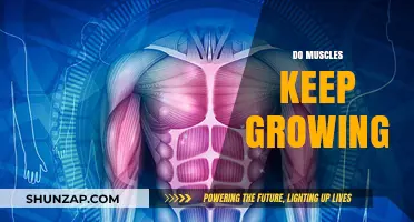 Do Muscles Keep Growing? Unlocking the Science of Muscle Growth
