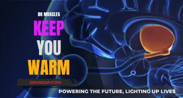 Muscle Power: Generating Warmth and Energy