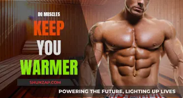 Muscle Insulation: Warmth and Health Benefits