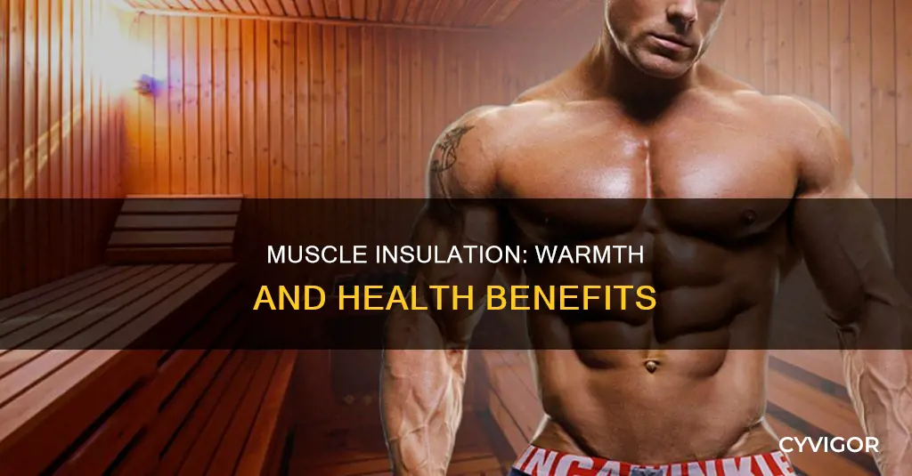 do muscles keep you warmer