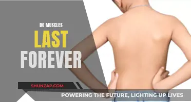 Muscle Maintenance: Do Gains Last Forever?