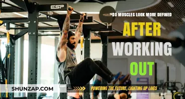 Post-Workout Muscle Definition: Why Muscles Look More Defined After Exercise