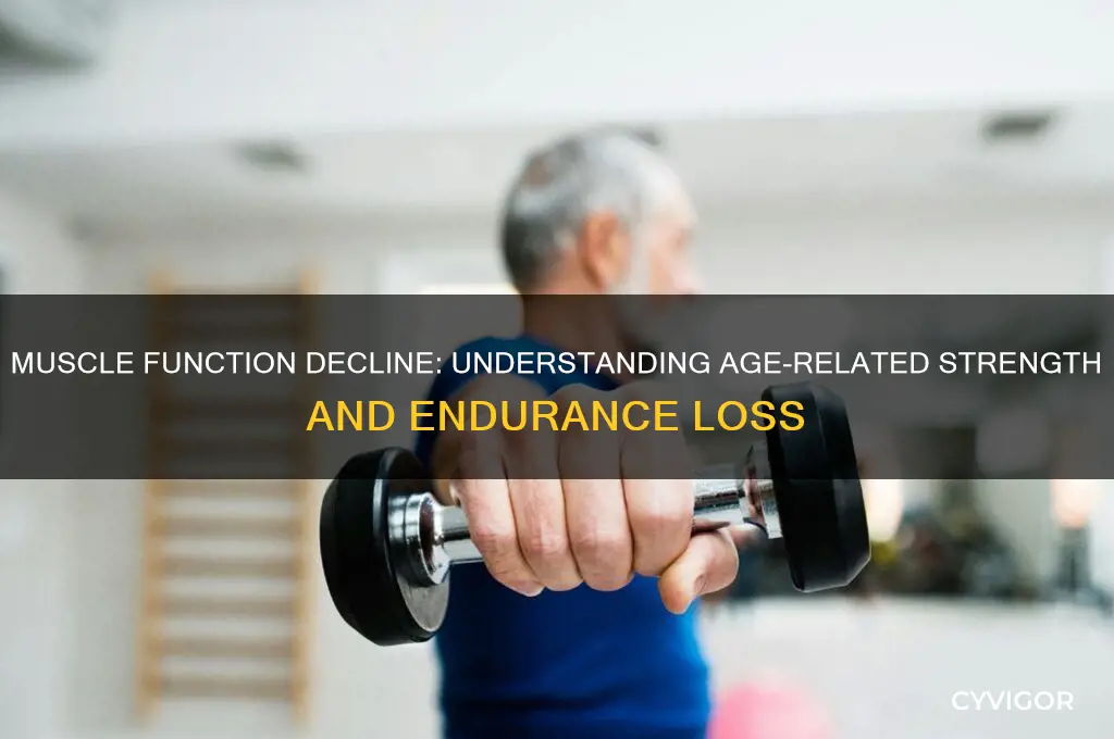 do muscles lose ability to work