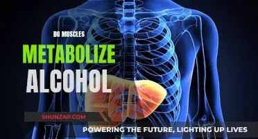 Muscle Tissue and Alcohol Metabolism: What's the Link?