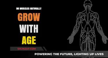 Muscle Growth and Aging: Unraveling the Natural Process Over Time