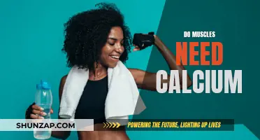 Muscle Function: Calcium's Role Explained
