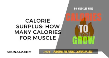 Fuel for Growth: How Calories Drive Muscle Development and Strength