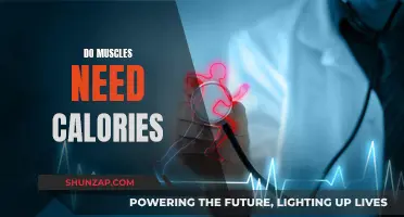 Muscle Growth and Calories: What's the Link?