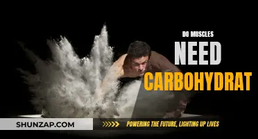 Muscle Growth and Carbohydrates: What's the Connection?