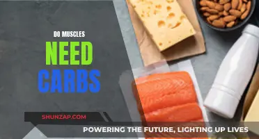 Muscle Growth and Carbohydrates: The Essential Relationship