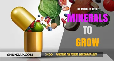 Minerals and Muscle Growth: Essential Nutrients for Strength and Size