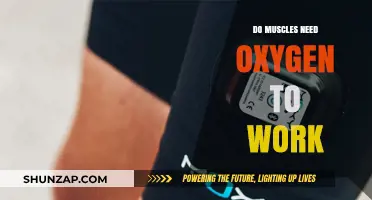Muscles and Oxygen: Unraveling the Essential Role in Physical Performance