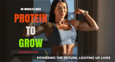 Muscle Growth and Protein: Unlocking the Essential Connection for Strength