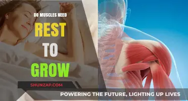 Muscle Growth Secrets: Why Rest is Essential for Stronger Gains