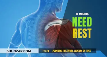 How Muscles React After Death: Loosen Or Tighten? | CyVigor
