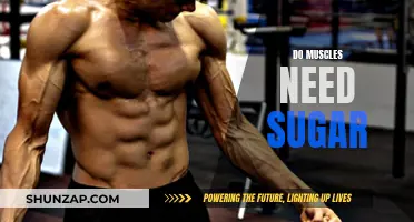 Muscle Growth and Sugar: Friend or Foe?