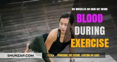 Pumping Up: The Surprising Truth About Blood Flow During Exercise