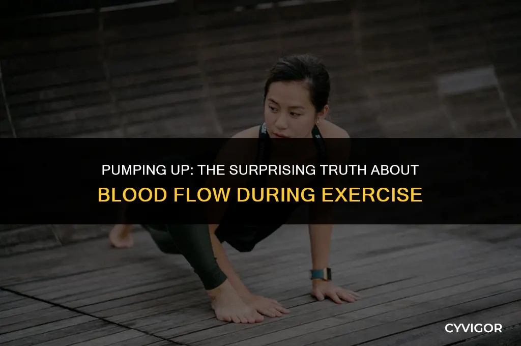 do muscles or skin get more blood during exercise