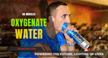 How Muscles Can Oxygenate Water: The Science Explained