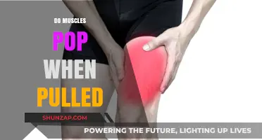 Do Muscles Pop When Pulled? Unraveling the Truth Behind Muscle Injuries