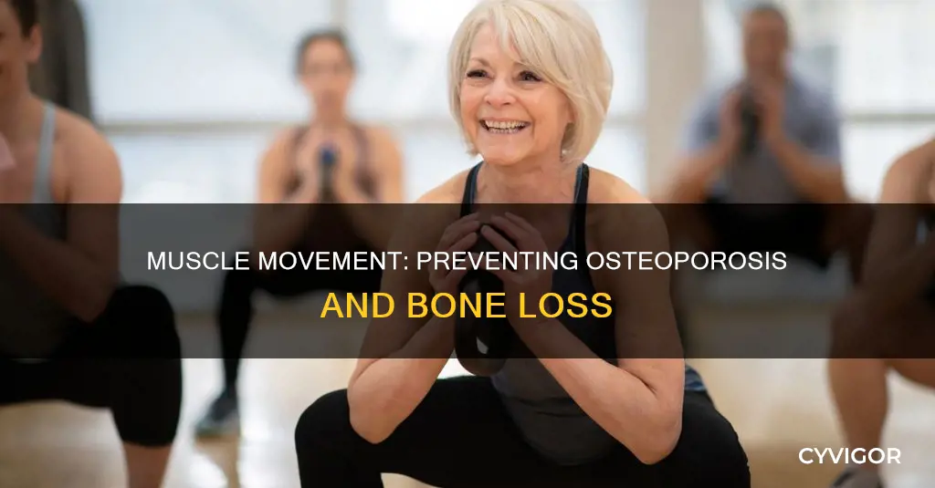 do muscles prevent osteoporosis