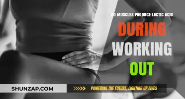 Muscle Metabolism: Unraveling Lactic Acid Production During Workouts
