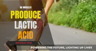 Muscle Metabolism: Lactic Acid Production and Exercise