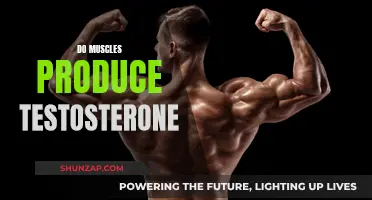 Muscle Power: Testosterone Production and its Secret Link