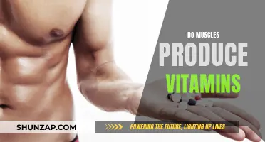Muscles and Vitamins: What's the Real Connection?