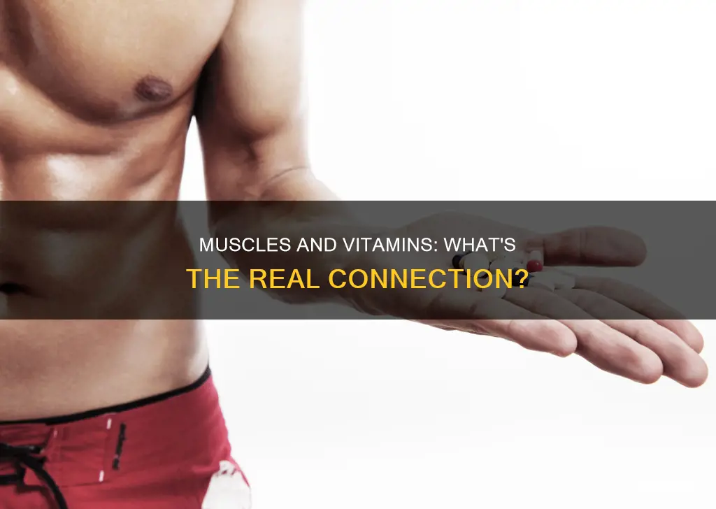 do muscles produce vitamins