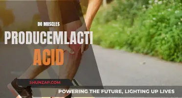 Muscle Fatigue and Lactic Acid: What's the Link?