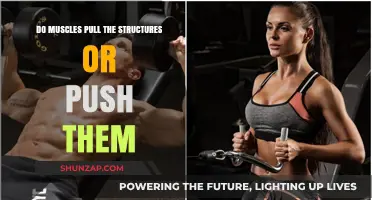 Muscles: Pulling or Pushing? Understanding Their Role in Movement