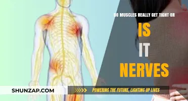 Unraveling the Myth: Muscle Tightness vs. Nerve Sensitivity