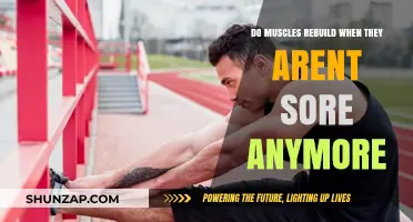 Muscle Rebuilding Post-Soreness: Understanding Recovery and Growth