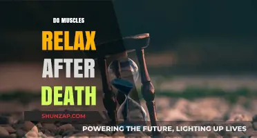 Postmortem Muscle Relaxation: Understanding Rigor Mortis and Its Aftermath