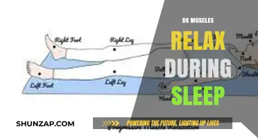 Muscle Relaxation During Sleep: Unveiling the Restorative Power of Rest
