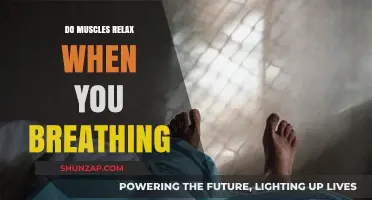 Breathing and Muscle Relaxation: Unlocking the Connection for Optimal Wellness
