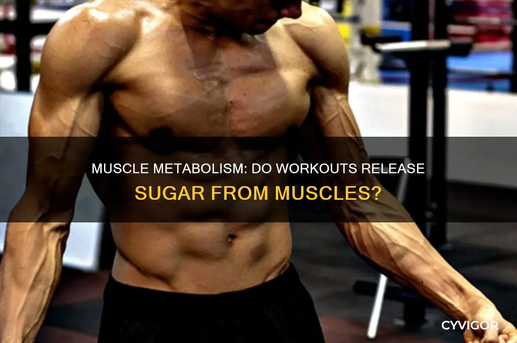 do muscles release sugar when you work them out