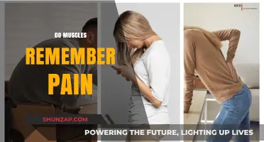 Muscle Memory and Pain: Unraveling the Body's Hidden Recall