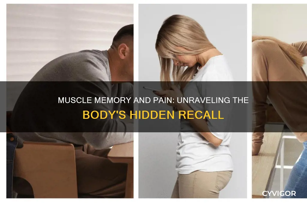 Muscle Memory And Pain: Unraveling The Body's Hidden Recall | CyVigor