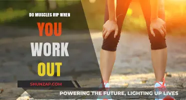 Do Muscles Rip During Workouts? Debunking Fitness Myths and Facts