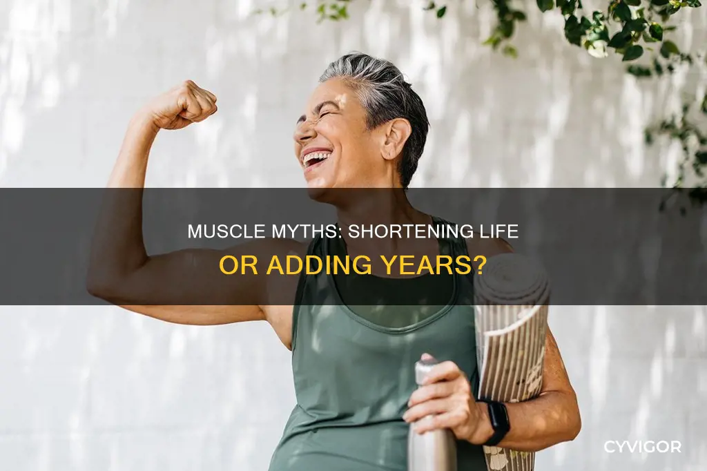 do muscles shorten your life