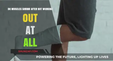 Muscle Shrinkage: What Happens When You Stop Working Out?