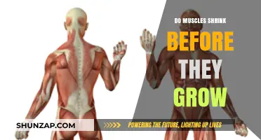 Muscle Shrinkage Before Growth: Fact or Fitness Myth?