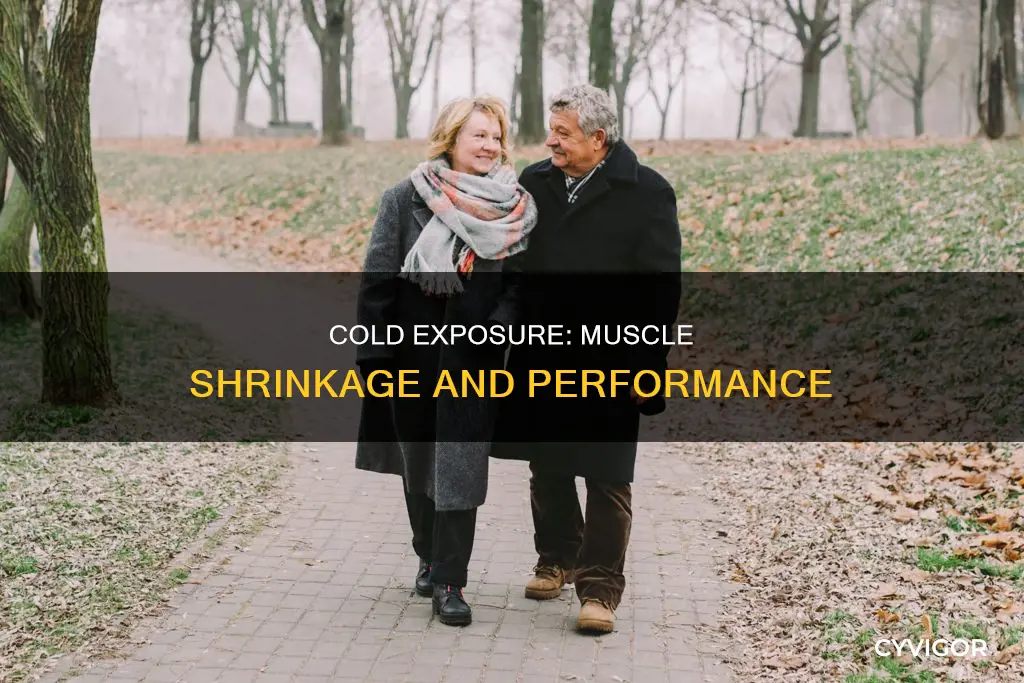 do muscles shrink when cold