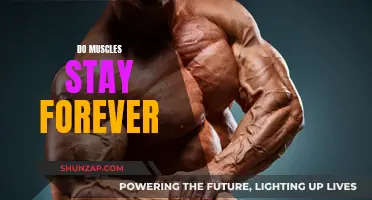 Building Muscles: A Permanent Transformation or Temporary Gain?
