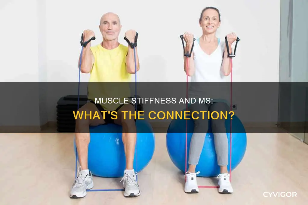 do muscles stffen with ms