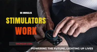 Do Muscle Stimulators Work? Unveiling the Truth Behind the Hype