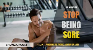 Understanding Muscle Soreness: Does the Pain Ever Truly Disappear?