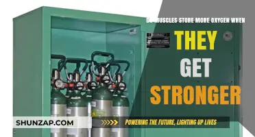 Unleashing Strength: The Oxygen Storage Capacity of Muscles